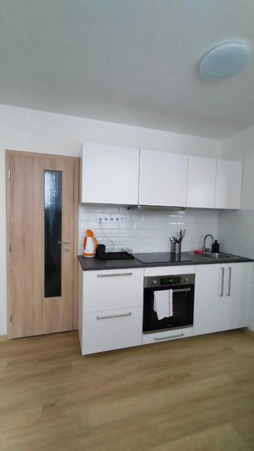 Apartment Stankova 布尔诺 外观 照片
