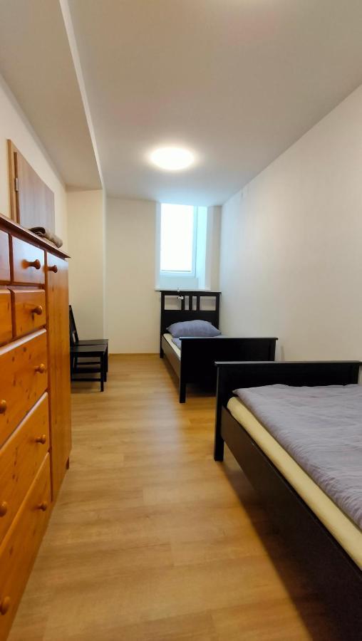 Apartment Stankova 布尔诺 外观 照片
