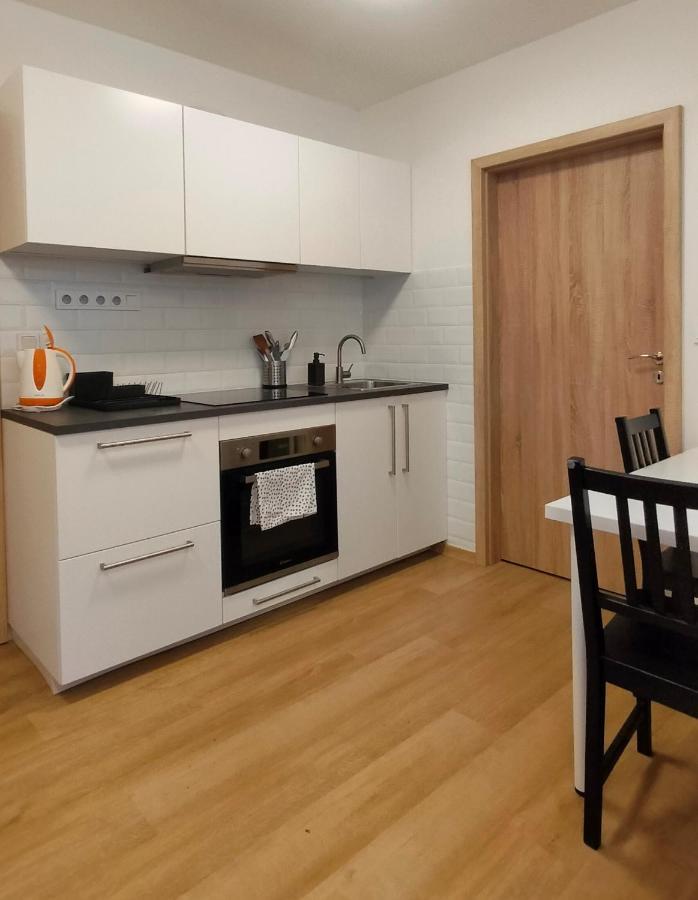 Apartment Stankova 布尔诺 外观 照片